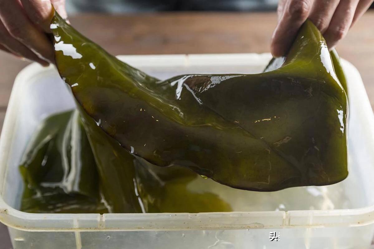 泡海带时,只加水是不行的,多加一勺"它",10分钟泡好还没腥味_表面