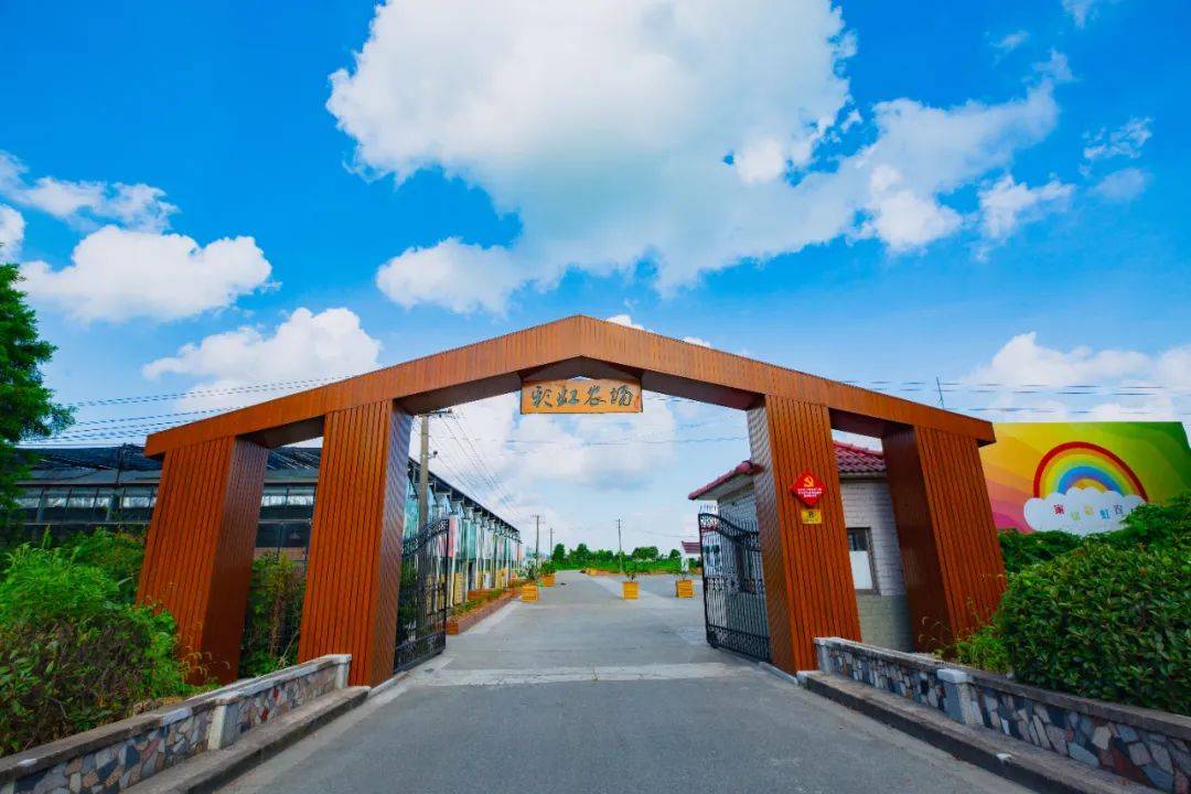 空气,水源家绿草莓生长在黄浦江边家绿生态农场地址:松江区泖港镇五厍