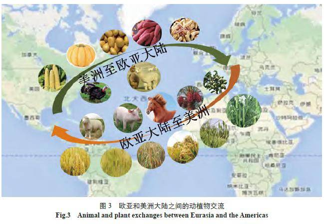 农业的起源,传播与影响_人类_研究_西亚