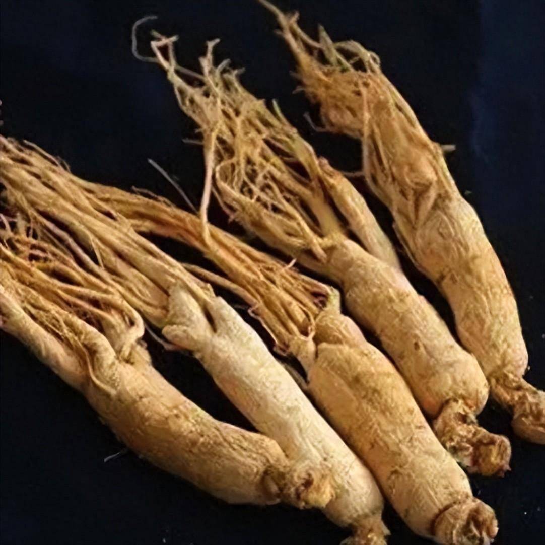 平喘止咳,安神镇惊之——华山参_断面_黄白色_须根