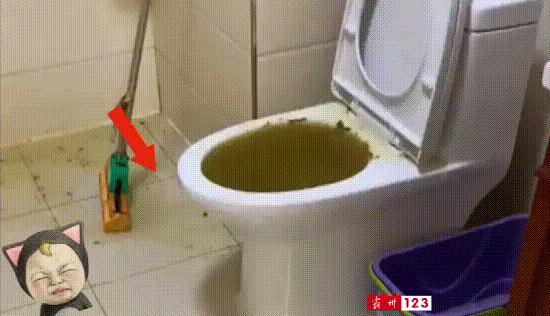 下水不通畅有异味,回暖前快给下水管道吃瓶"猛泻药"吧!