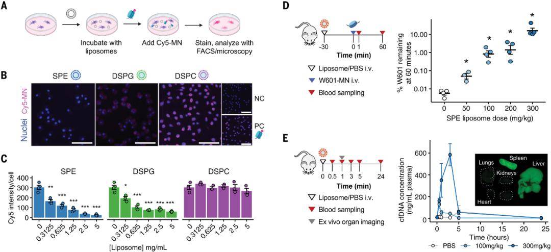 cfdna_检测_研究人员