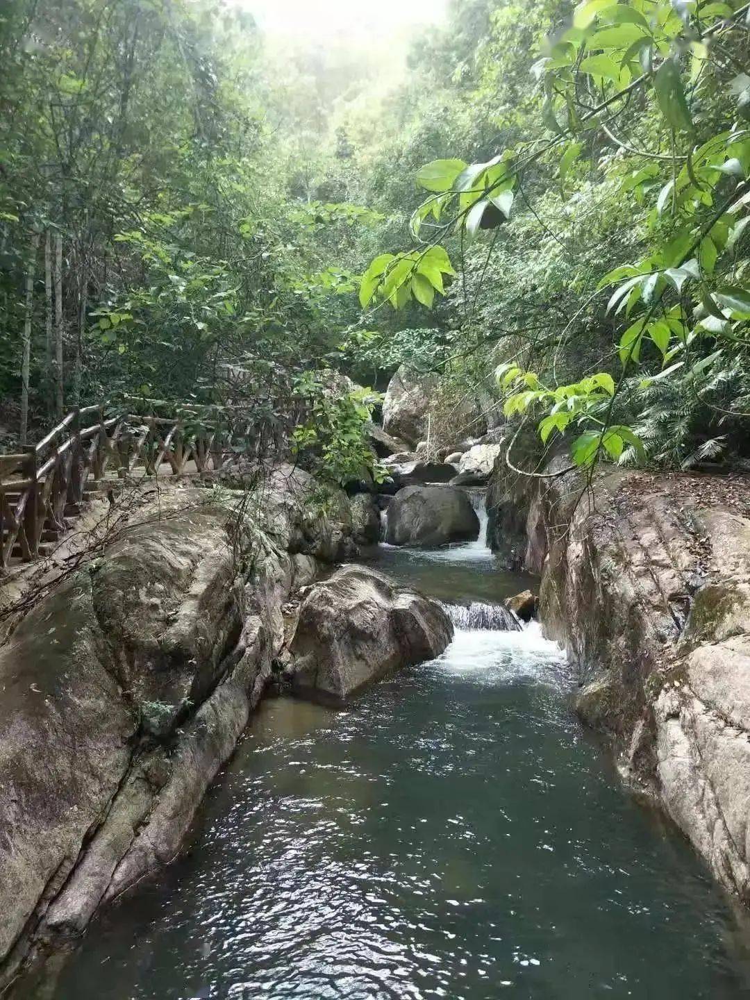 仙姑混峡谷图片