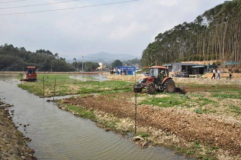 【文明创建】新兴县稔村镇开展2024年"奋进百千万 争先开新局"系列