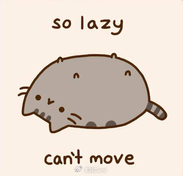 2024年开年第一波治愈,来自一只q弹软糯的喵星人_pusheen_cat_猫咪