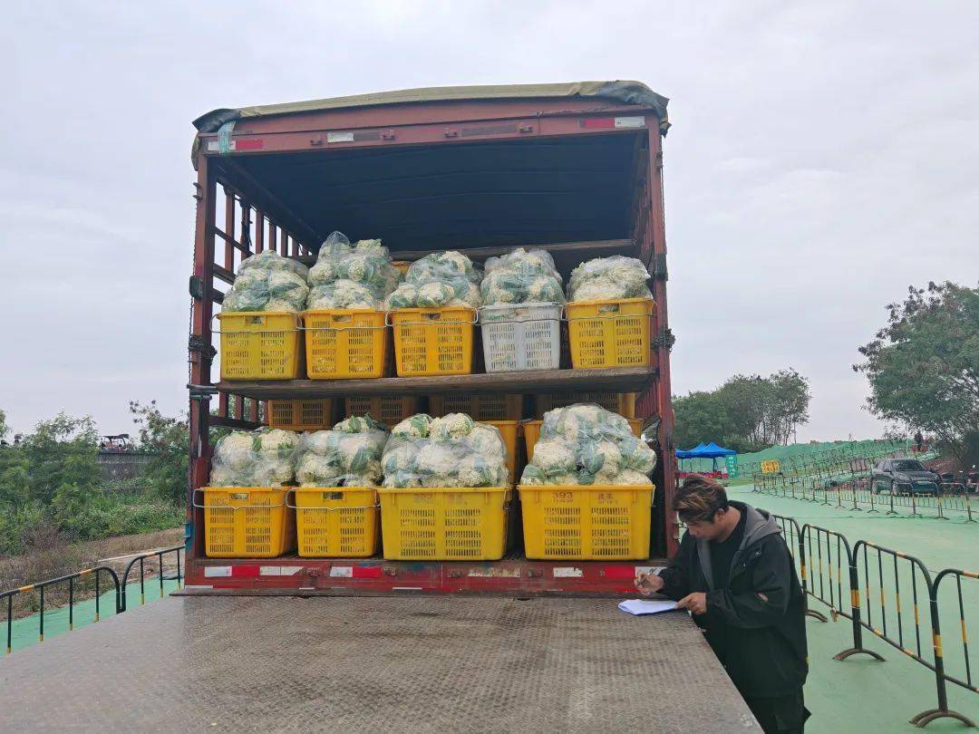 农产品运输通道已打通_南沙_渡口_码头