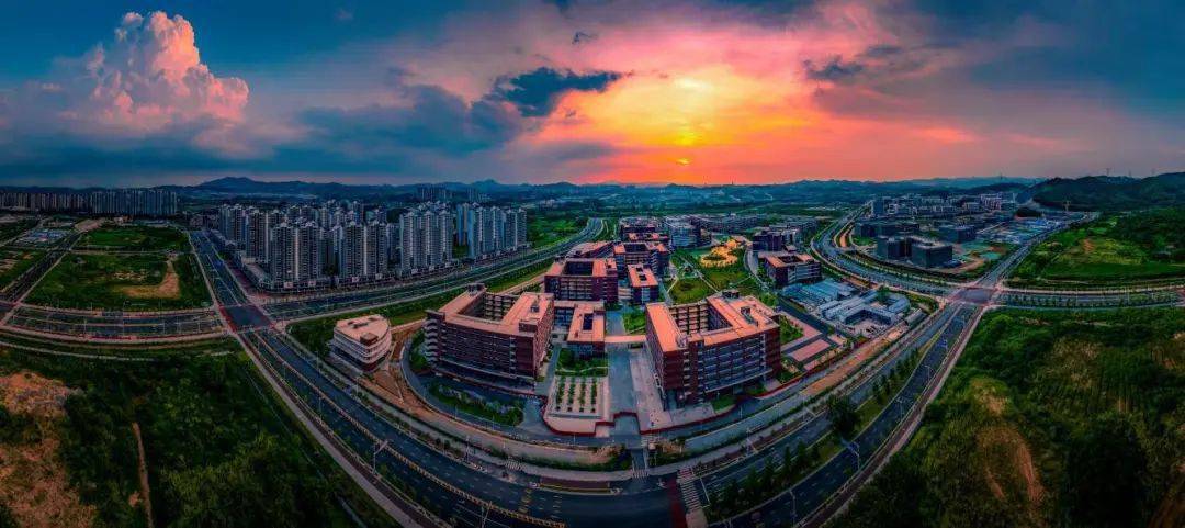 看得见的发展质效——增城屡获国家级,省级荣誉