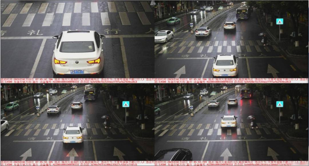 鄂qbn567,鄂qf7k17……不礼让行人被曝光_违法_路段_地点