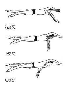 野泳:长距离游泳动作变化与野外实用泳姿讲解_交叉_时候_身体
