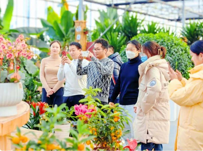 "来金湖过龙年"完美收官|下一站奔赴春日浪漫_活动_民俗_景区