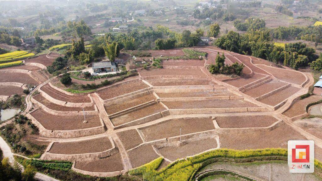 富顺县长滩镇:不负春光 百余台挖掘机闹春耕_建设_农业_农田