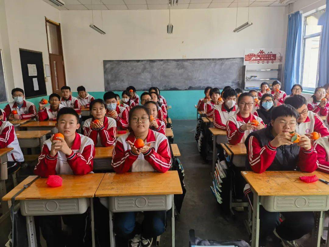 小学_幼儿园_中心