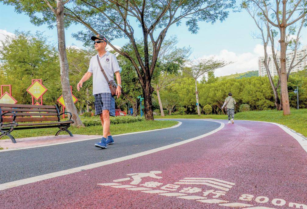 来三亚,上22春22山22_游客_白鹭_公园