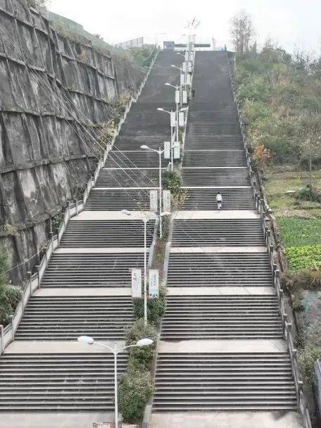 体育四川丨活力"拳"开,拳击散打进校园——西华师大附中_巴中市_身体