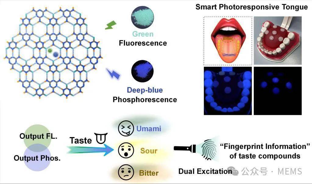 具有多模式光响应的智能味觉传感器,有效识别鲜,酸和苦_苦味_鲜味