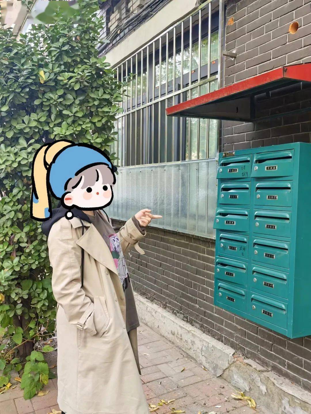 活动_什么_杨珂鑫