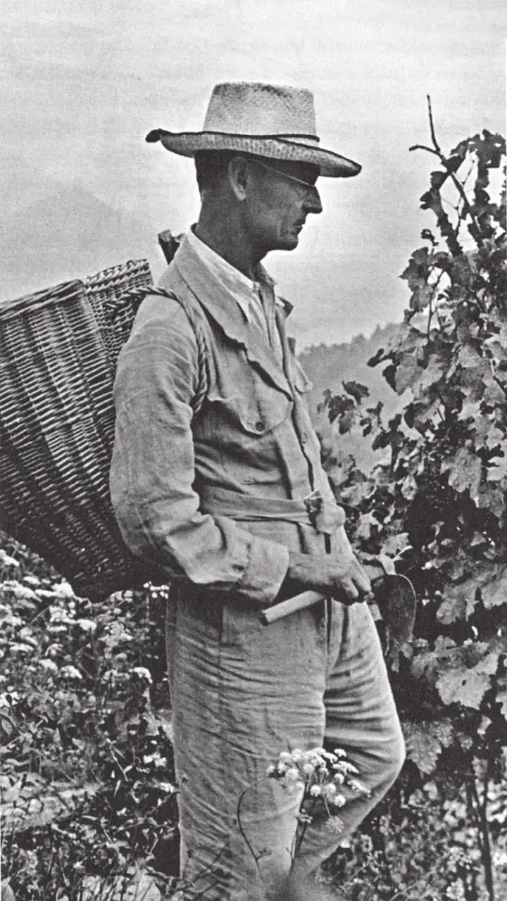 《悉达多》:人生就是一场修行,认识自己,成为自己,放过自己_果文达