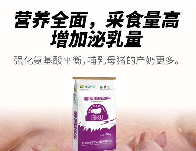 母仔一体化饲喂套餐_母猪_免疫力_乳猪