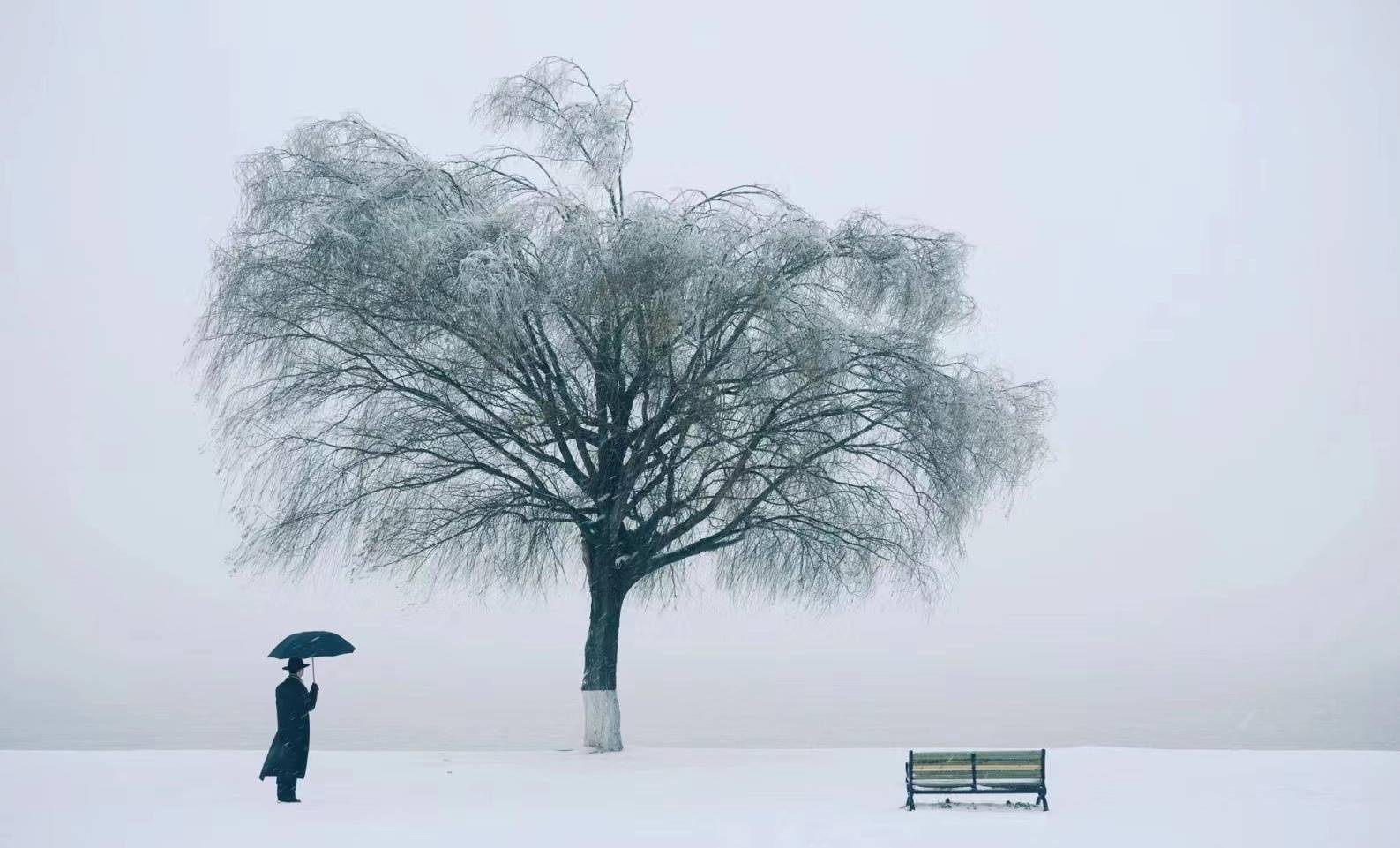 风雪孤单图片