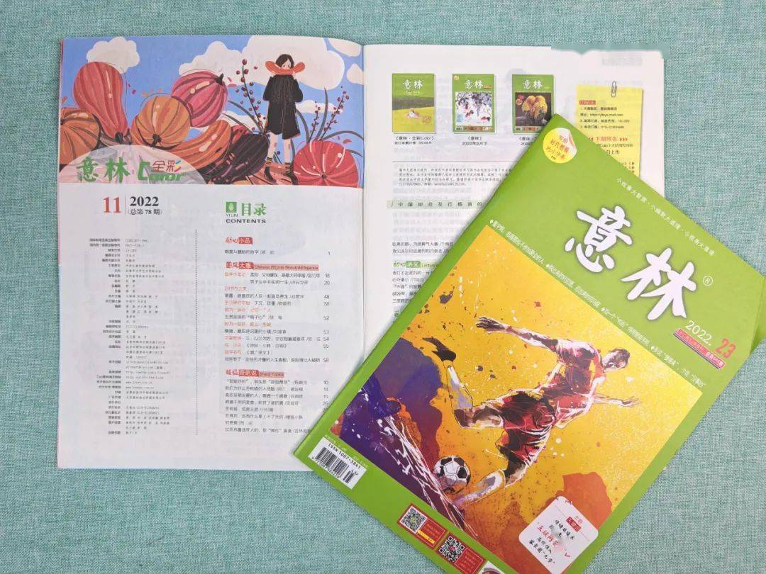 8元到手10册随机《意林》过刊,一本不到2块钱,太划算了!