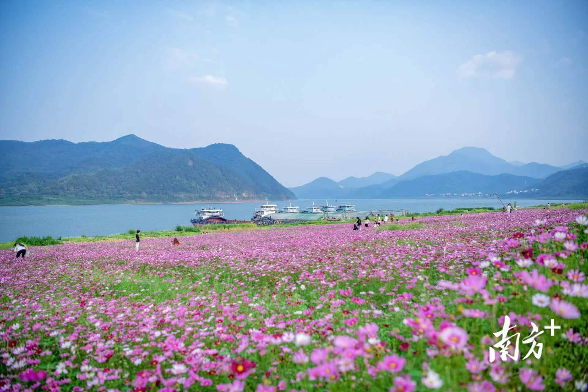 郁南县旅游景点大全图片