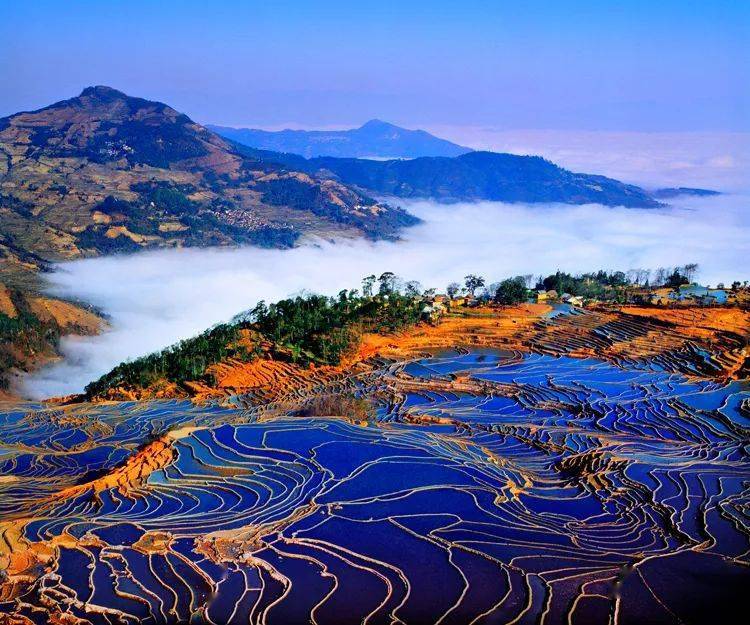 東川紅土地 元陽哈尼梯田 羅平油菜花 普者黑 世外