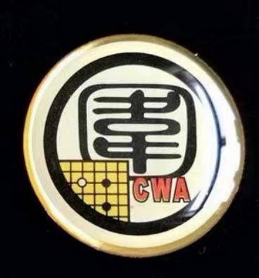 胡伟:小徽章 大文化——我的围棋收藏之徽章_棋圣_我国_黄龙士