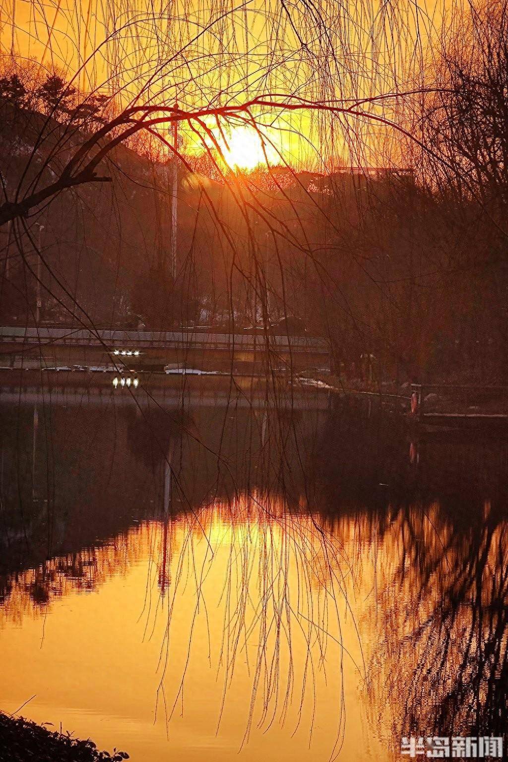 河畔夕照_休闲_李村_水鸟