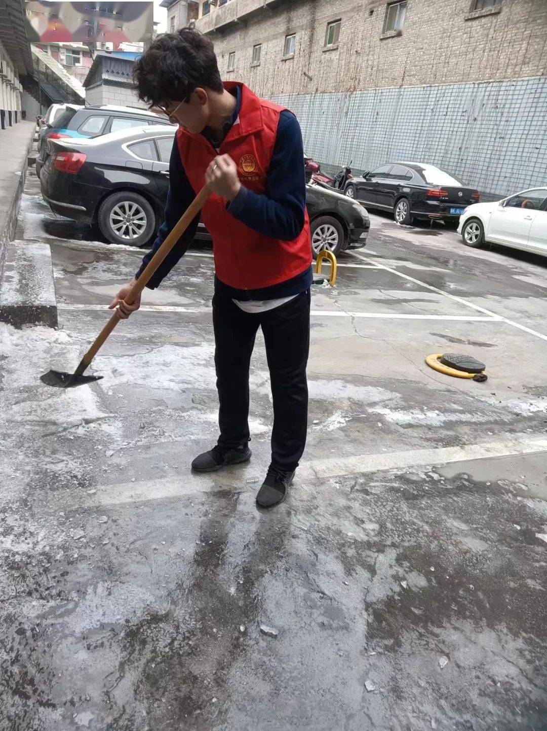 培华学子"返家乡"社会实践集锦②_工作_活动_社区