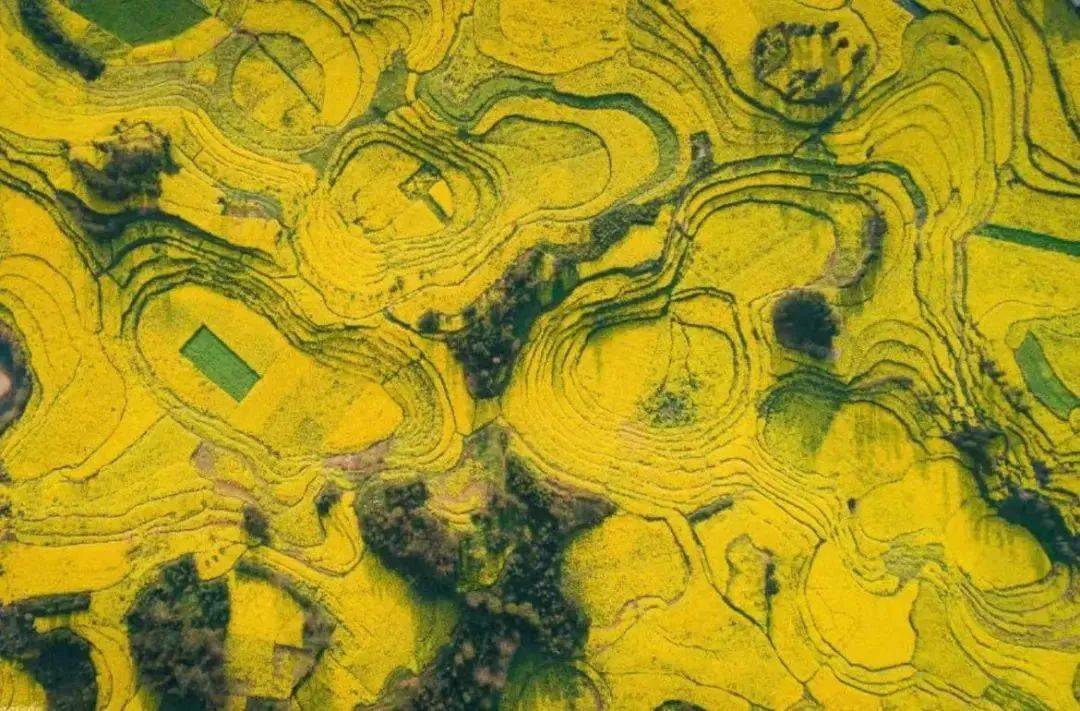 国内最早"上春山"的绝美避世小城!花海惊艳外网!_曲靖_油菜花_瀑布群