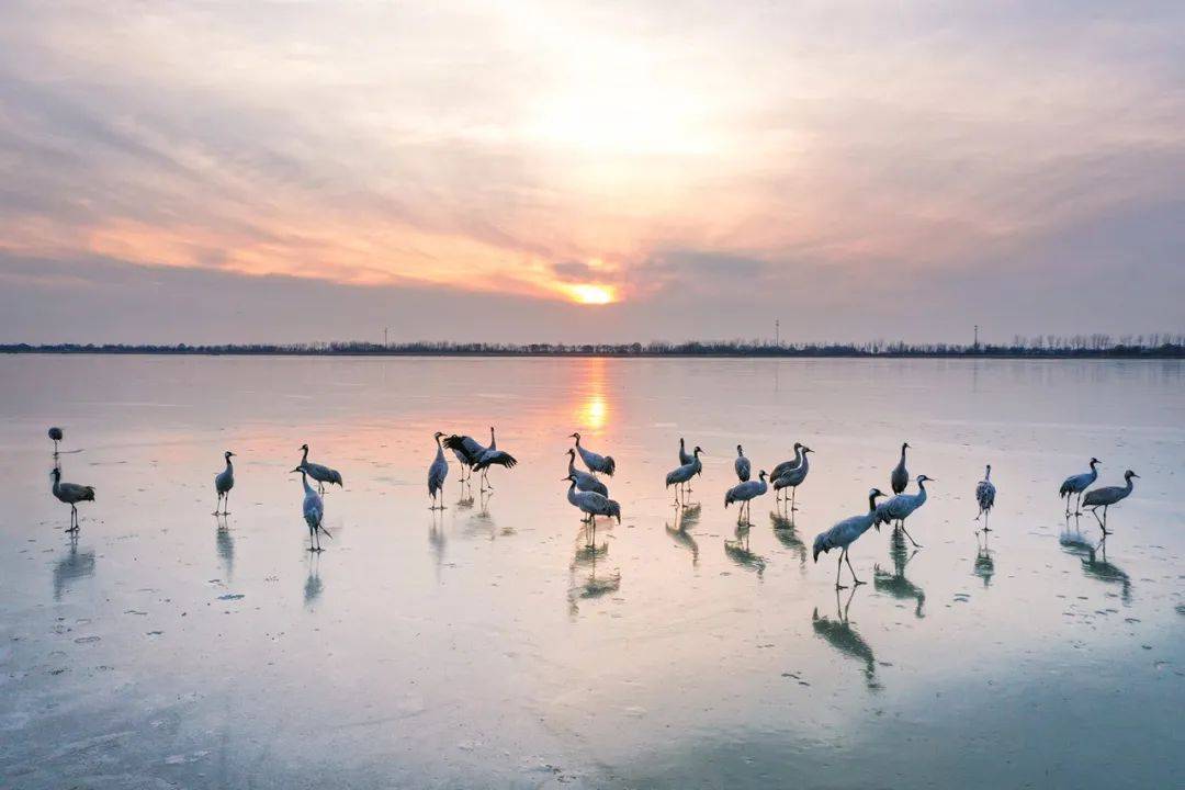 京津冀协同发展十年成效访谈录 | 衡水市市长董晓航:衡水加快建设京津