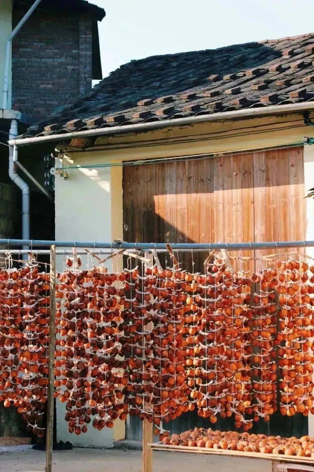 临水宫|苏新金 摄临水夫人陈靖姑,是福建最有影响力的陆上女神,她的