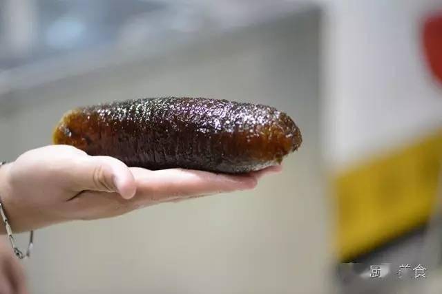 世界顶级"壮阳"海鲜大赏_海参_鲍鱼_食用
