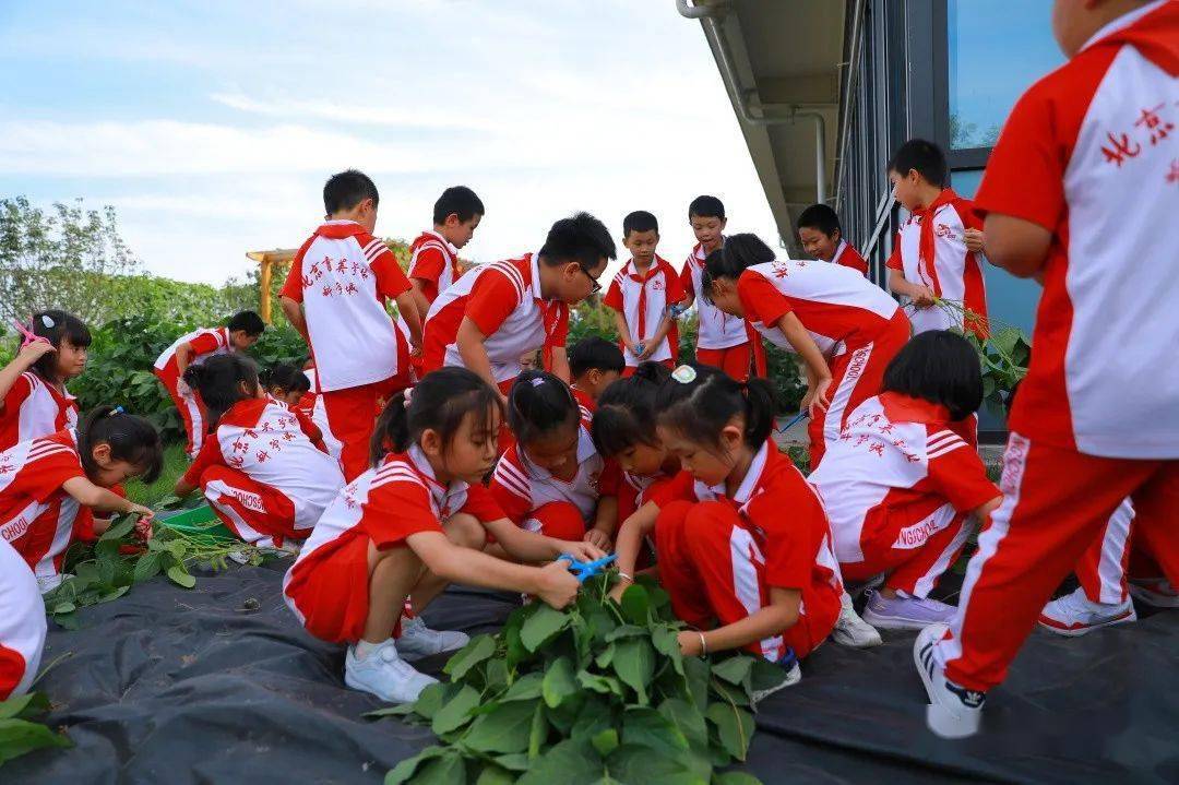 北京育英中学校服图片