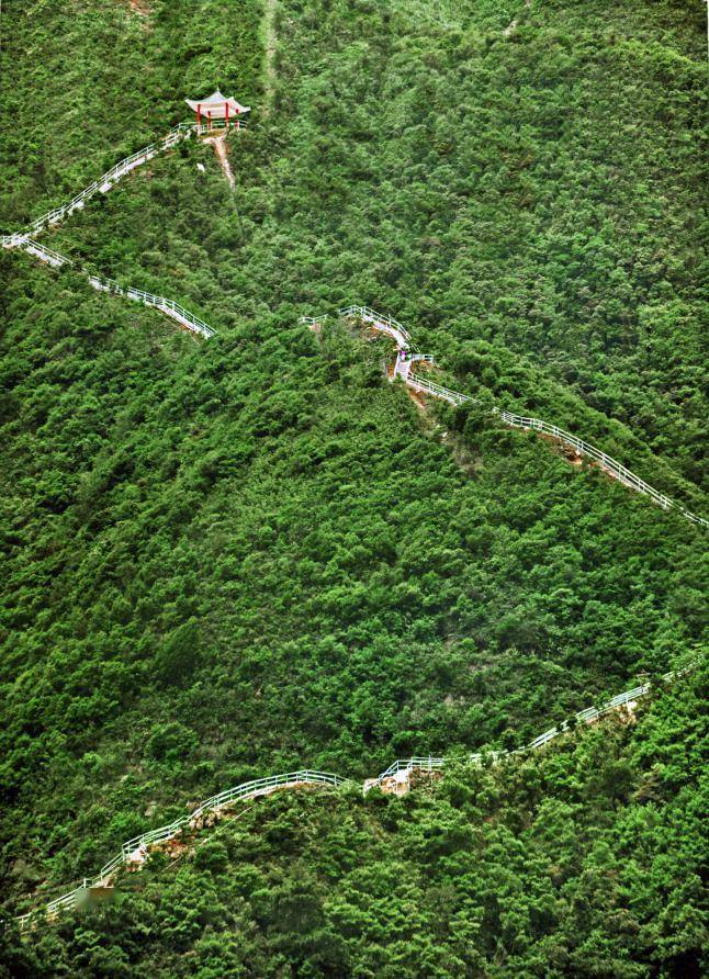 樱花绽放粉如画,肇庆春游就来北岭山赏花吧!_特色_美景_实时