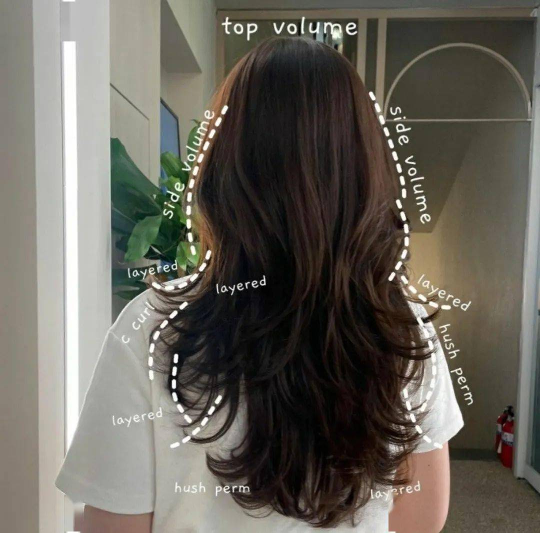 "贾玲大波浪"热搜都爆了,发型真的很重要