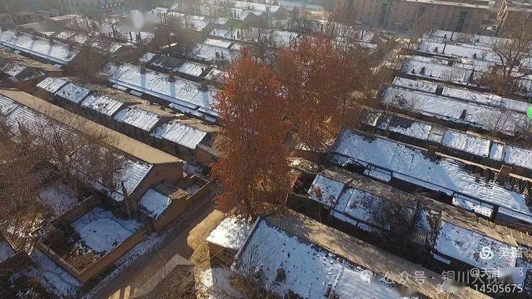 曾经的耀县水泥厂工人村平房 一个家的回忆_铜川_文章_平台