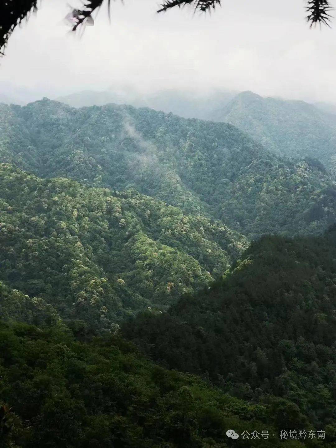 临海马头山传说图片