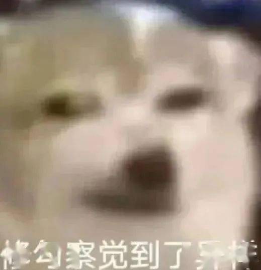 甚至是一些小表情图案一些看似日常的对话更离谱的是从而躲避公安机关