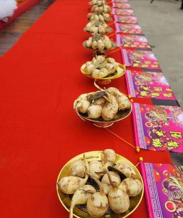 投灯,投茨菇,投甘蔗,最后投的你根本想不到._宫灯_号灯_宗亲