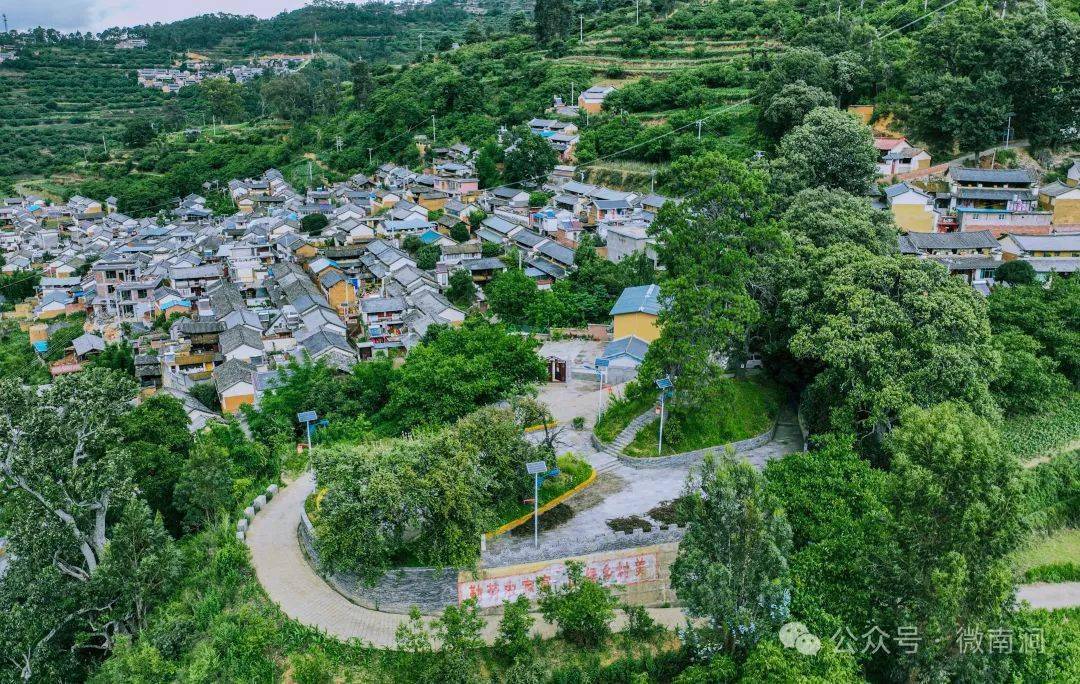 南涧县拥翠乡:激活乡村潜能,让乡村更美,产业更兴,农民更富_发展_文化