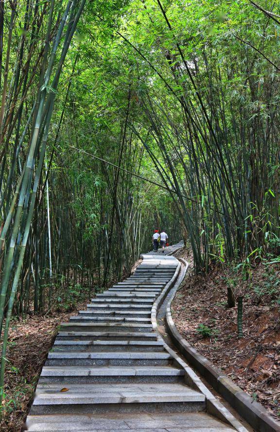 北岭山a线图片