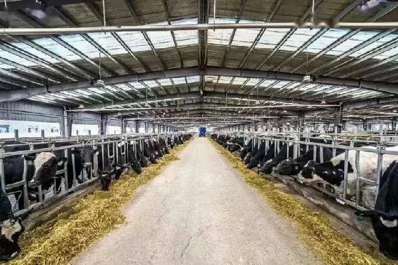 2亿元,其中协作资金4600万元,推进西堡生态奶牛养殖基地建设;投资3454