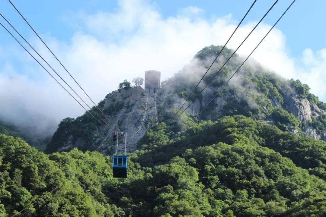 太白山索道2024年春季招聘信息_管理_公司_天下