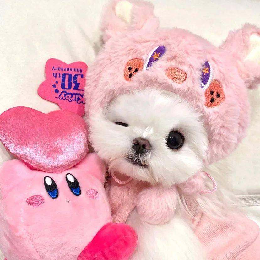 头像| 超级不错的ins头像很赞_ki