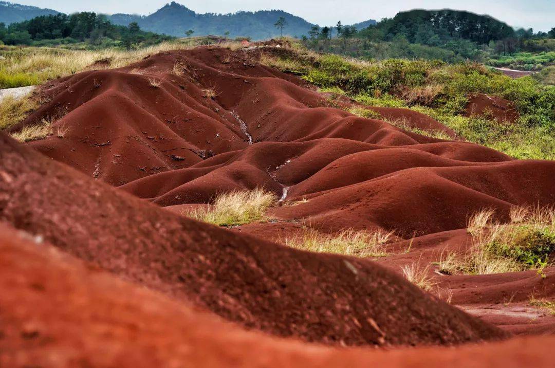 广东唯一敢叫板徽州的小城,花开成海,而且游人很少!