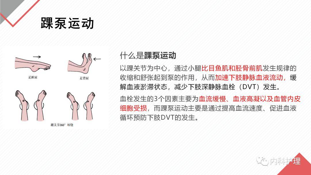 踝泵运动图解示意图图片