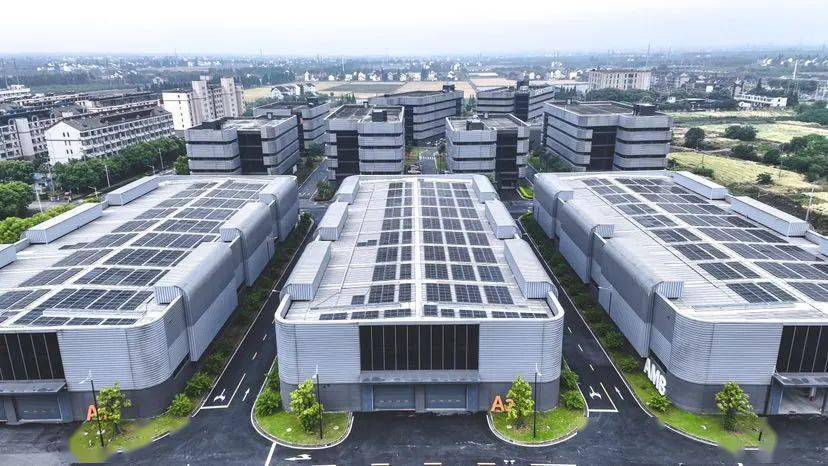 在招商引资的"春天里",枫泾这里喜迎"开门红"