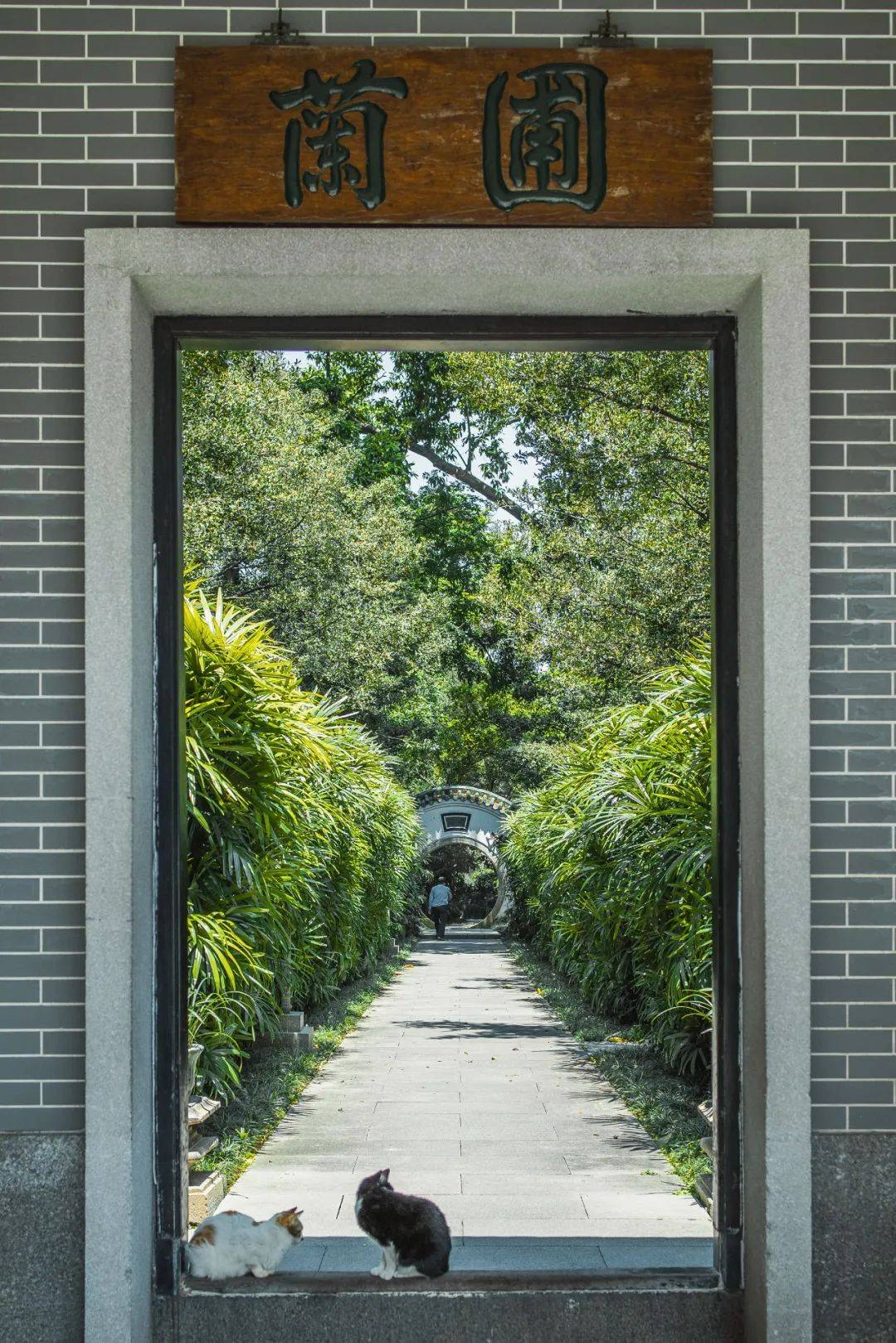 相机去行走倾斜的雨,飘飘然倾落这片7千多平方公里的大地;天降的甘露