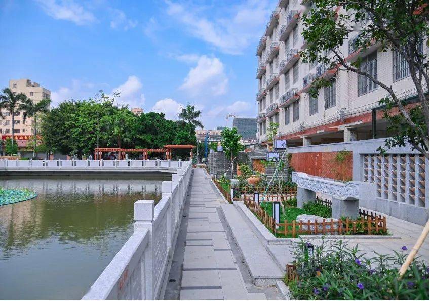 你们村上榜了吗?_项目_街道_禅城区